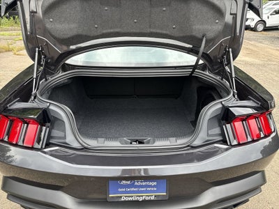 2024 Ford Mustang Dark Horse