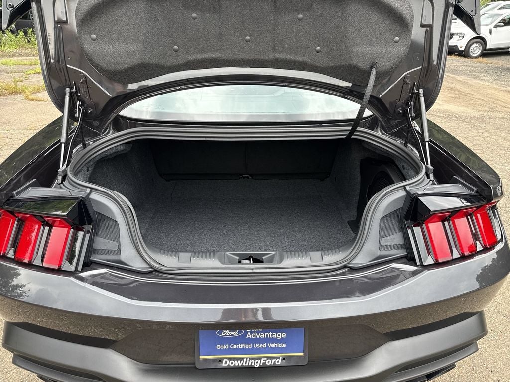 2024 Ford Mustang Dark Horse
