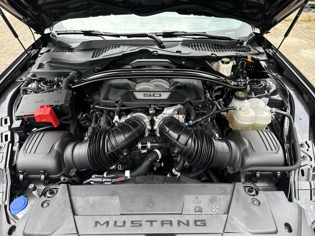 2024 Ford Mustang Dark Horse