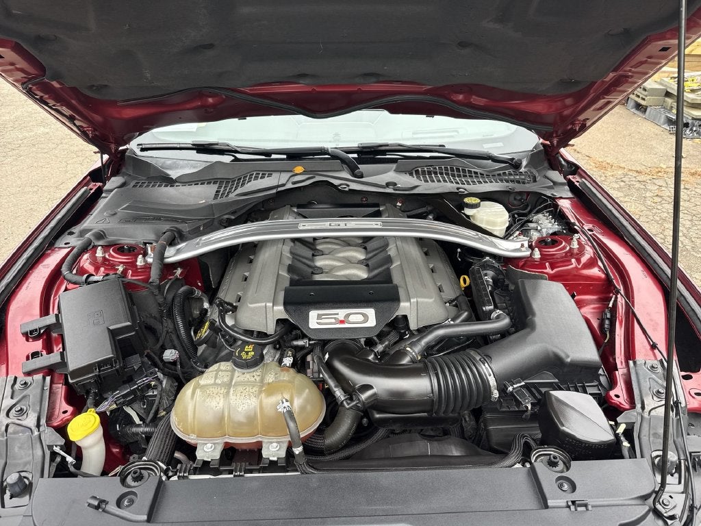 2015 Ford Mustang GT Premium 50 Year Anniversary Edition